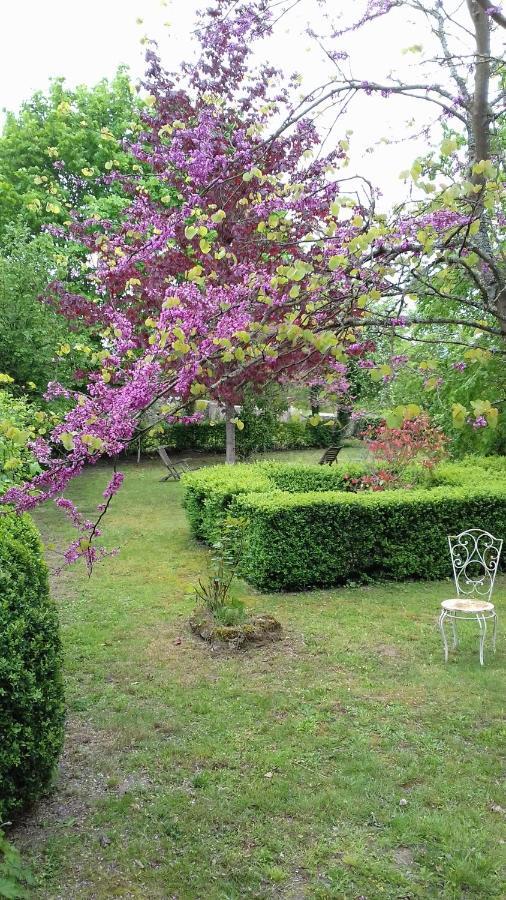 Manoir De La Chapelle Bed & Breakfast Condé-sur-Sarthe Exterior photo
